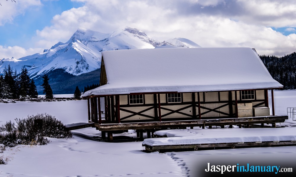 Jasper Winter History