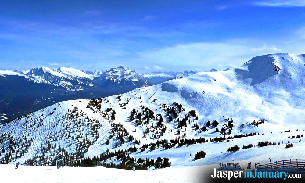 January Marmot Basin Bus Schedules
