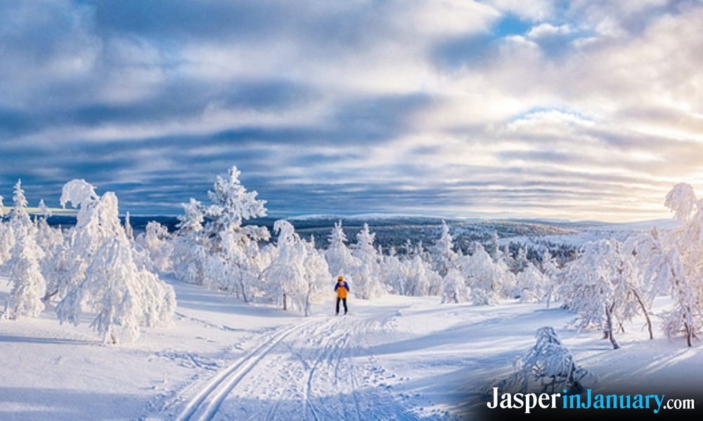 Providers in Jasper that offer Rentals