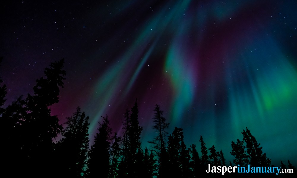 Walks in Jasper During January