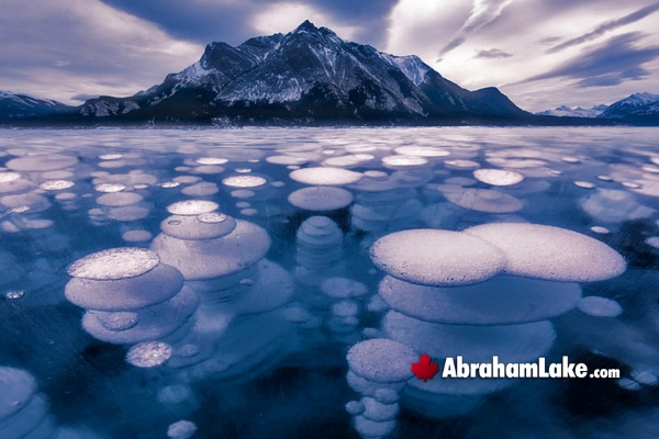 Abraham Lake in January